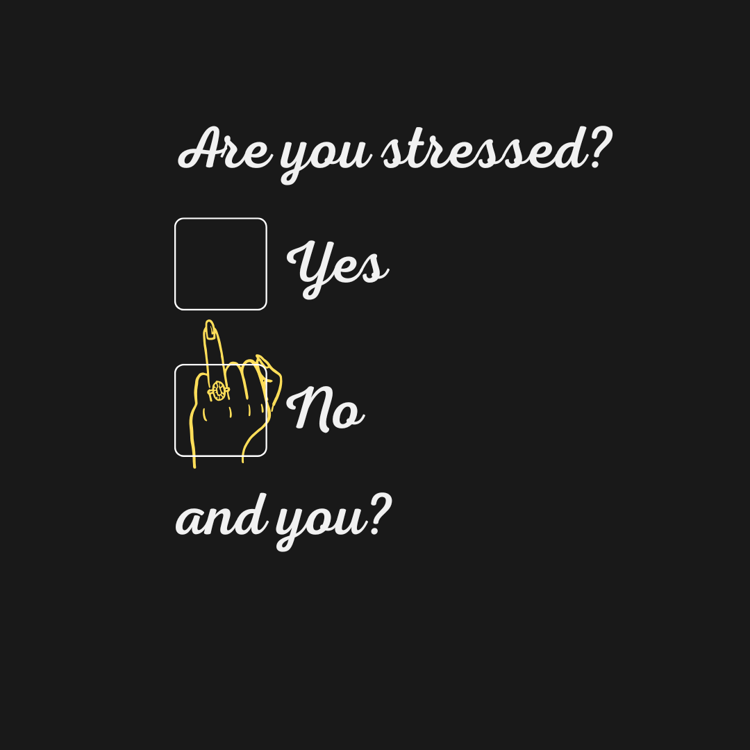 Camiseta CamiKrea DD Stressed (Canalla Ed.)